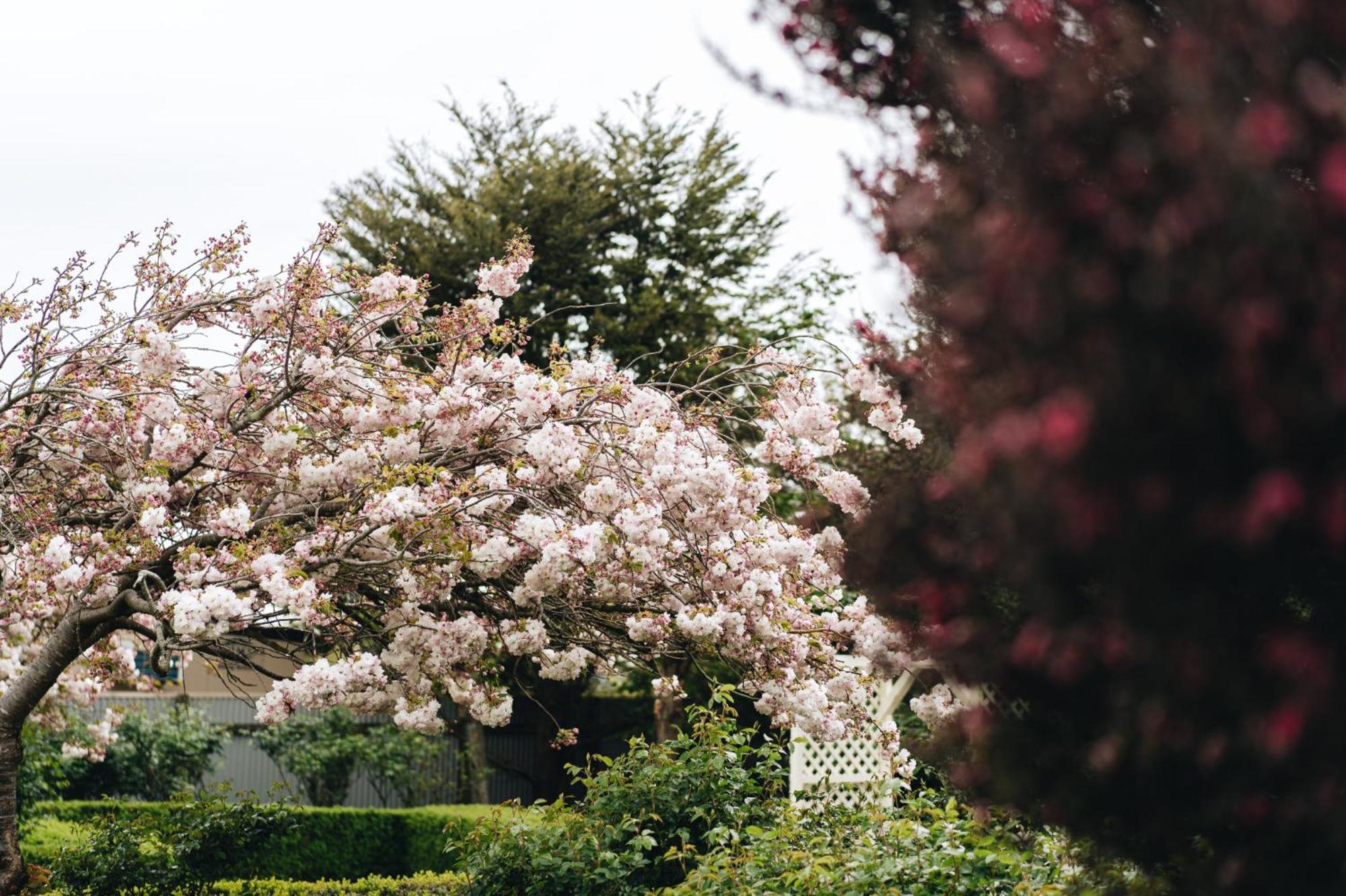 Brackenridge Country Retreat & Spa Martinborough Bagian luar foto