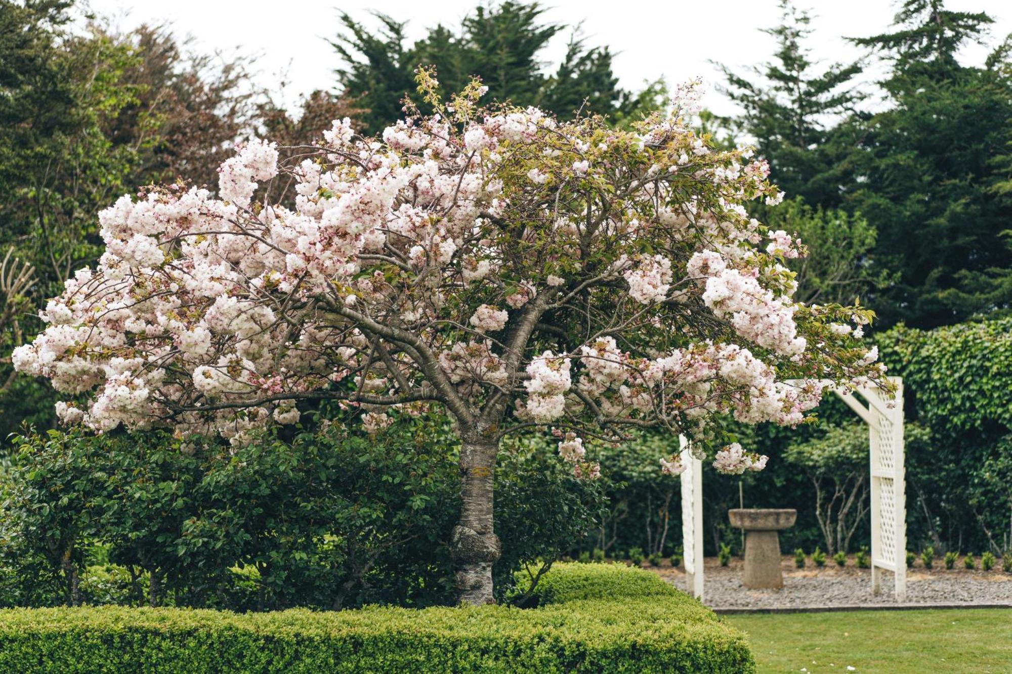 Brackenridge Country Retreat & Spa Martinborough Bagian luar foto